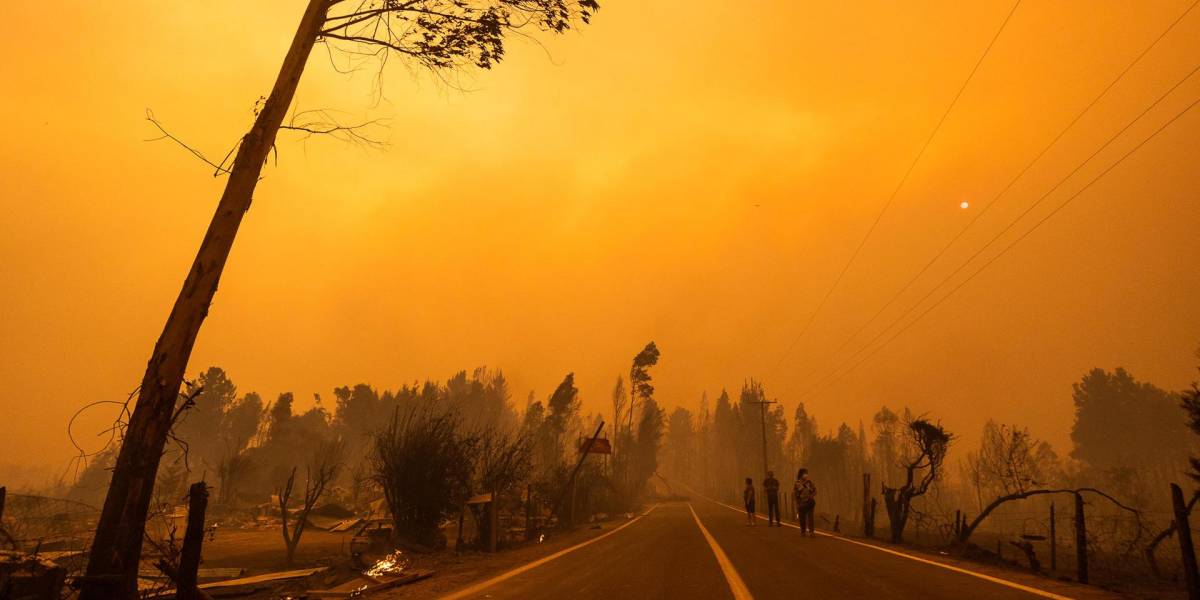 Chile pide ayuda internacional para combatir un gran incendio forestal