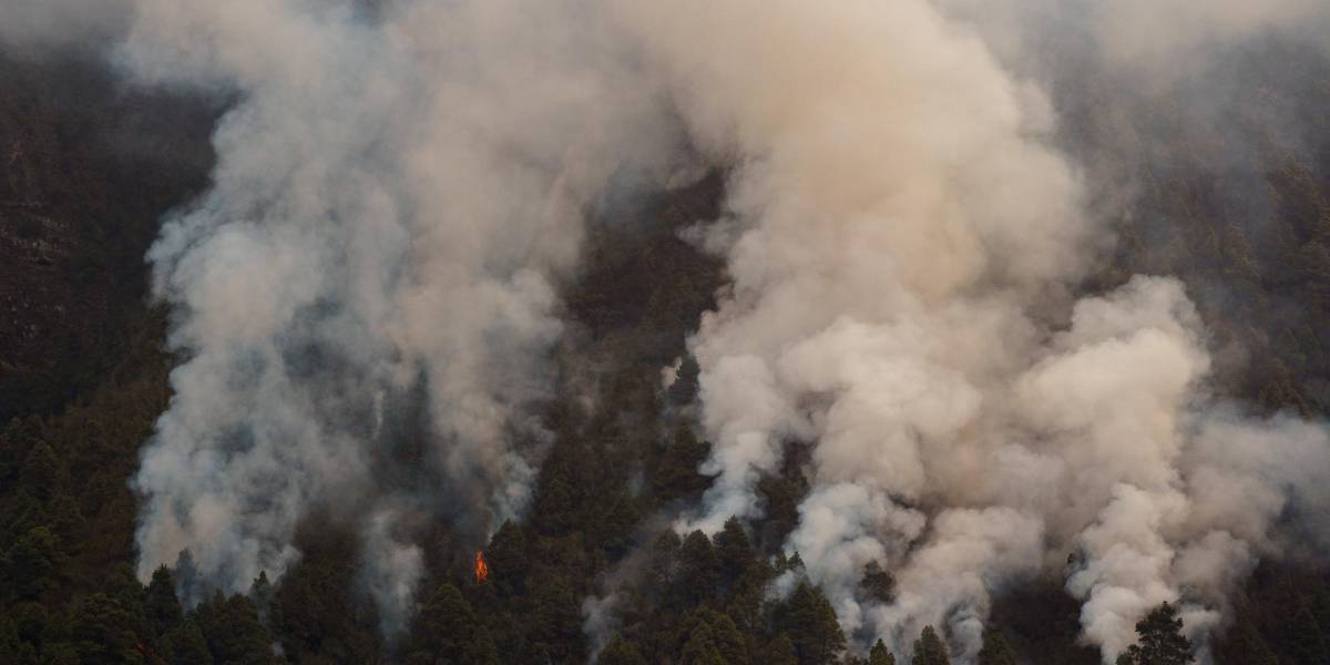 España: los incendios de Tenerife siguen avanzando, pero empiezan a normalizarse