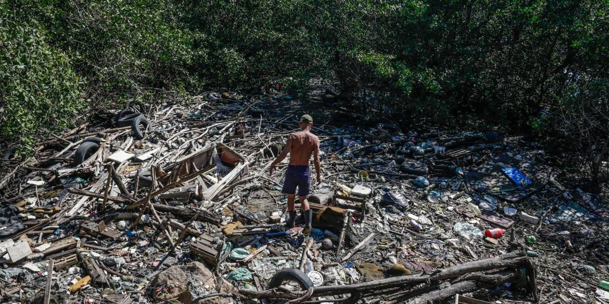 El programa brasileño para rastrear el ganado será vital para combatir la deforestación