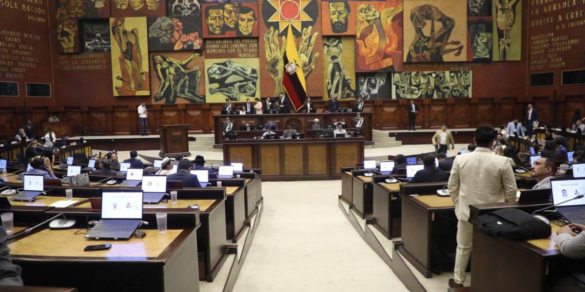 El fracaso del nuevo Ecuador en la Asamblea
