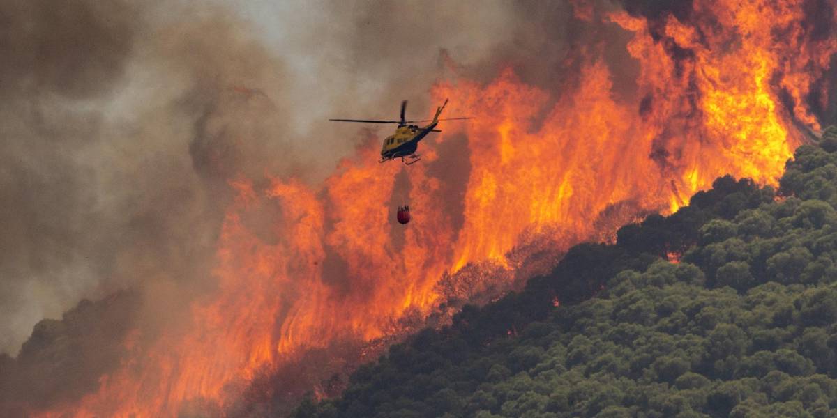 La contaminación por incendios forestales aumentaría el riesgo de suicidio en zonas rurales