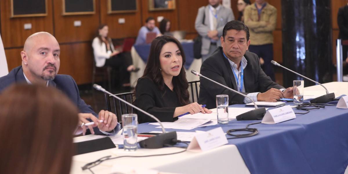 Agenda de Fiscalización: el juicio político a la Fiscal se tramitaría a finales del 2024