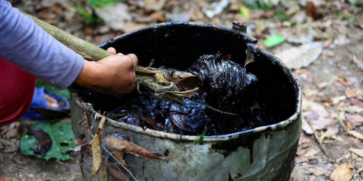 El cambio climático amenaza a los peces en la Amazonía de Ecuador