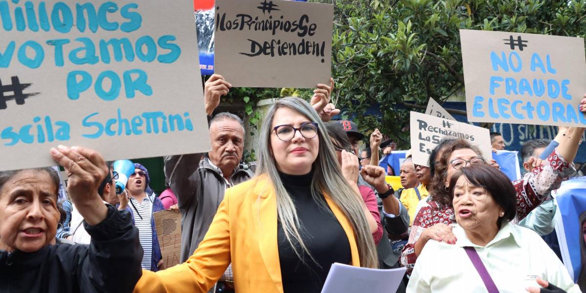 Priscila Schettini busca que la Corte Constitucional le devuelva sus derechos políticos y así asumir como asambleísta