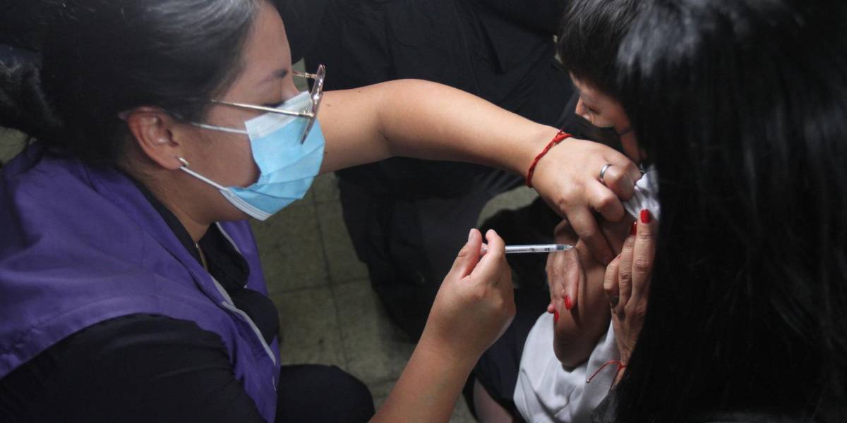 Ecuador registra el mayor brote de tosferina en 25 años: síntomas, casos y prevención