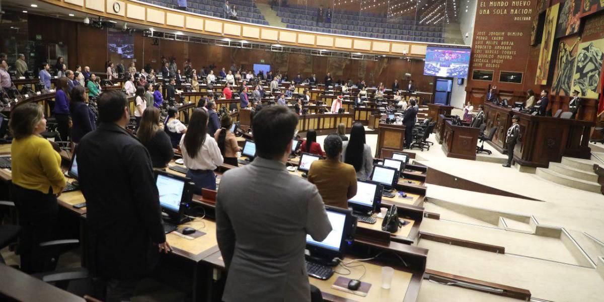 Pichincha dividió sus votos entre los candidatos de ADN y RC para ser sus representantes en la Asamblea