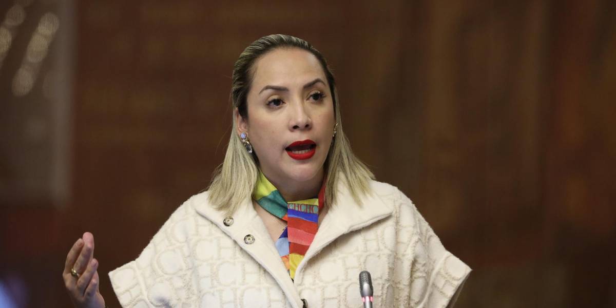 Dos asambleístas del correísmo enfrentadas en lo legal estarán en la misma comisión