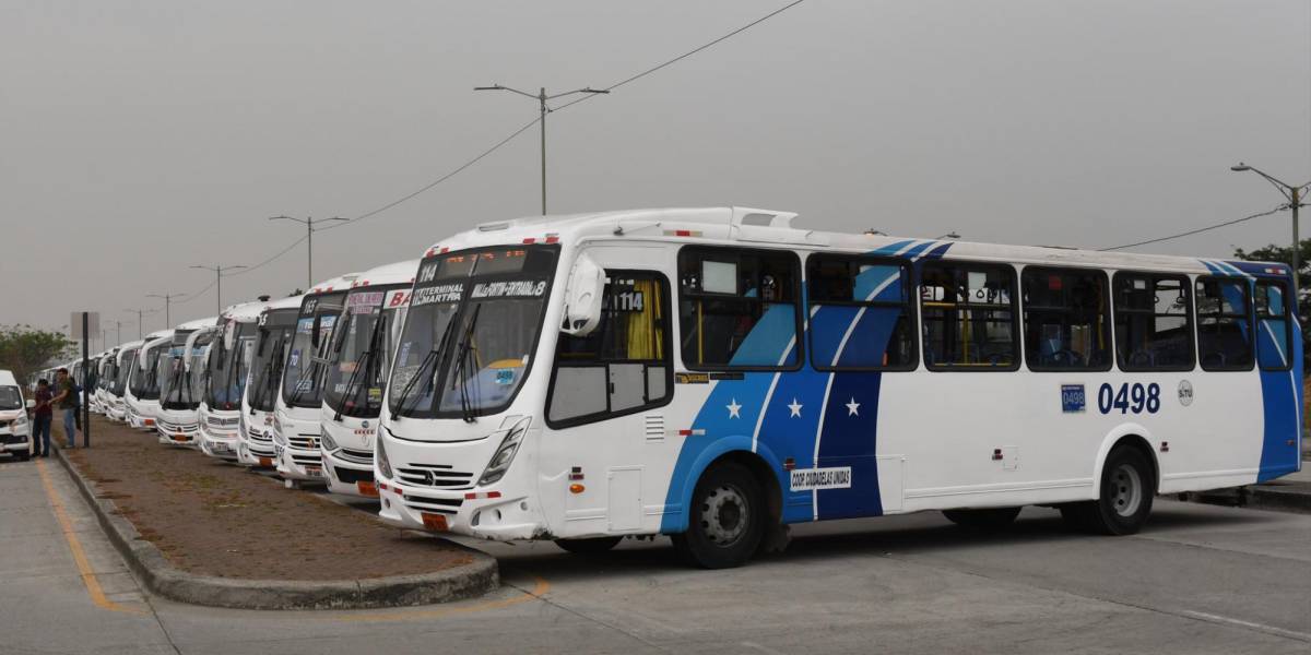 Elecciones Ecuador 2023: Estas líneas de buses cambiarán de recorrido en los comicios en Guayaquil