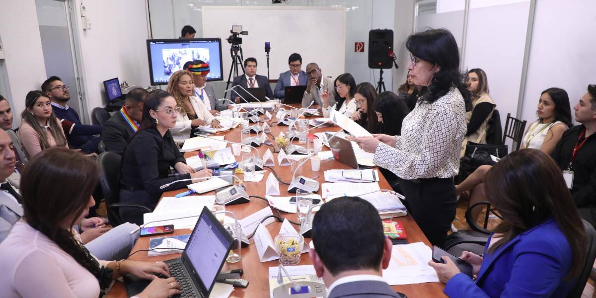 En la Comisión de Fiscalización se analizan las pruebas del juicio político en contra de Solanda Goyes