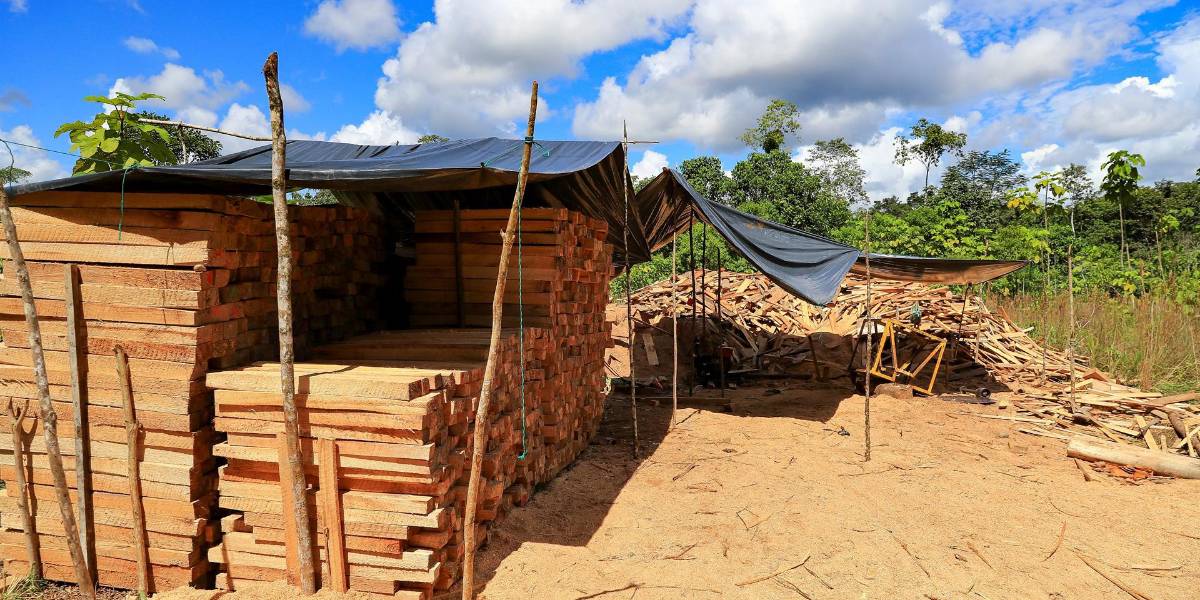 Amazonía ecuatoriana registra más de 623.000 hectáreas deforestadas en 20 años