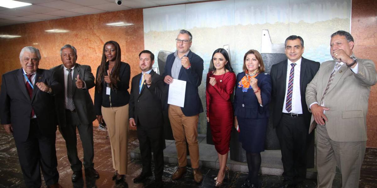 La Izquierda Democrática votará en contra del juicio político a la Judicatura