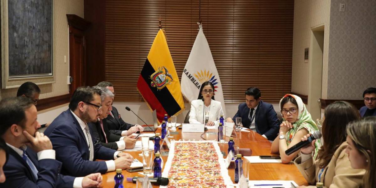 El juicio político contra Andrea Arrobo, exministra de Energía, fue calificado a trámite