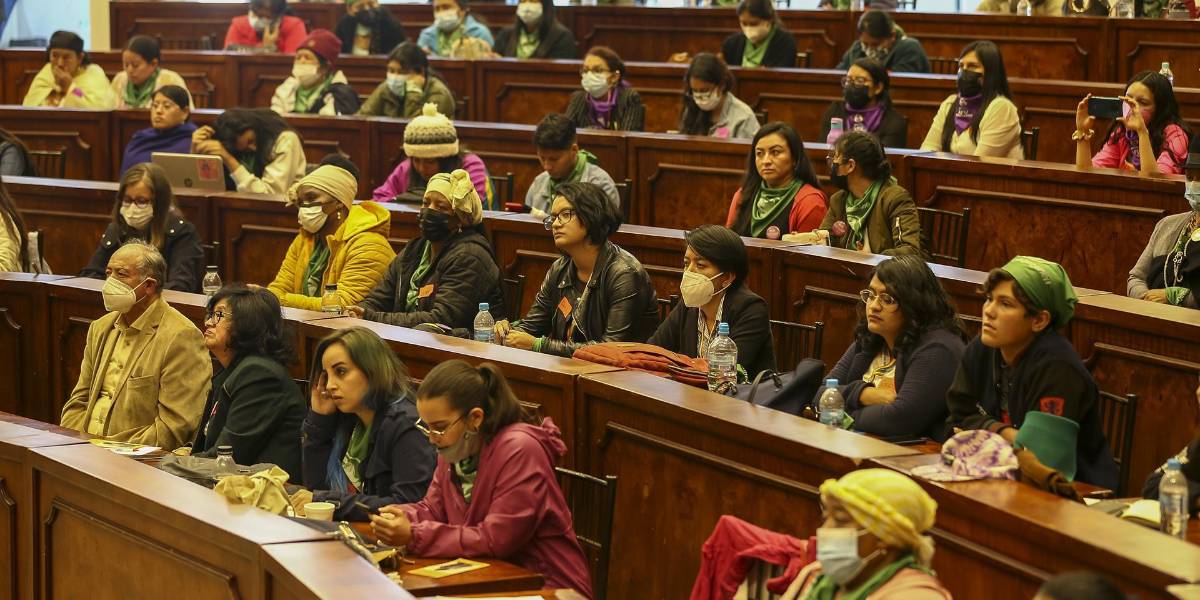 El aborto por violación: más allá del veto presidencial