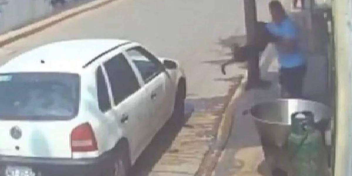 Conmoción en México: un hombre lanzó a un perro en aceite hirviendo