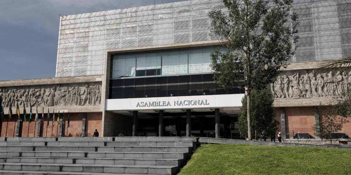 La bancada ADN pide a la Asamblea Nacional que debe acatar las sentencias judiciales