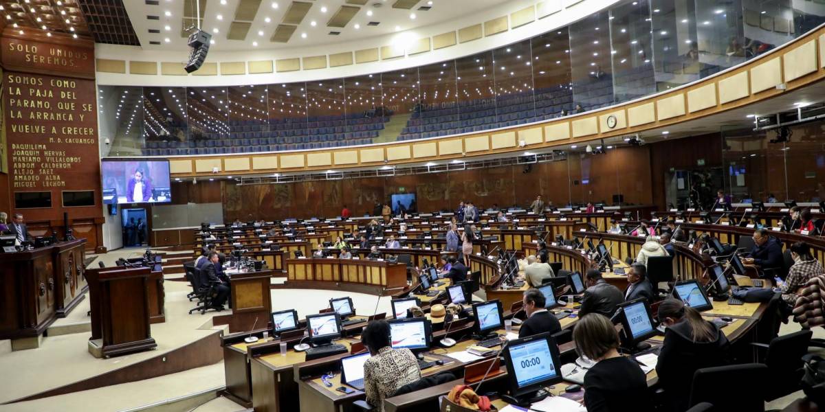 Asamblea: Proyecto de Ley de reparación a familiares de víctimas de femicidio fue tratado en primer debate