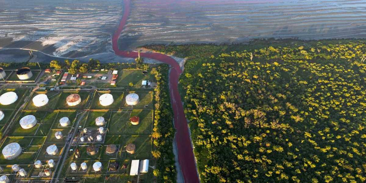 El arroyo Sarandí en Buenos Aires se tiñó completamente de rojo