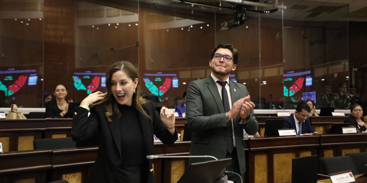 ADN y sus aliados apoyan que Noboa impulse una Asamblea Constituyente