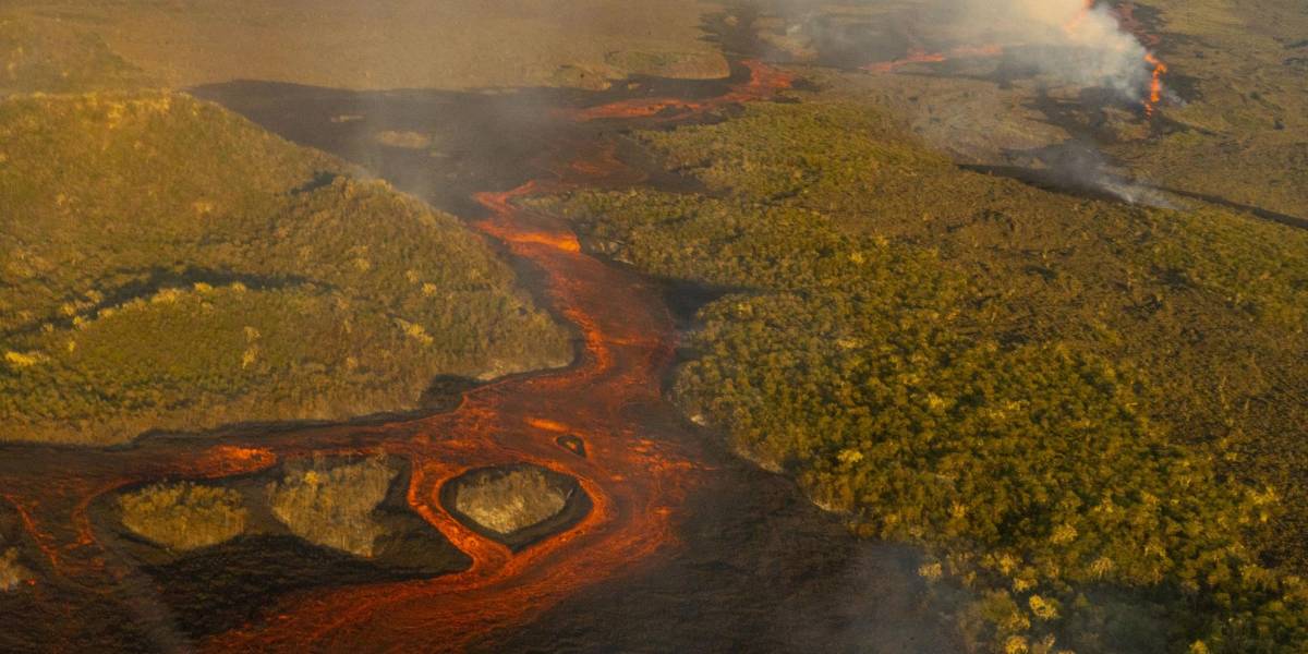 Descartan afectación a especies por erupción de volcán Wolf