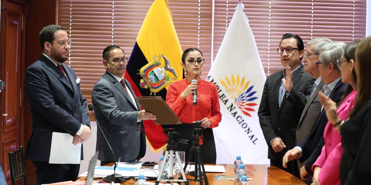 David Rosero ya puede principalizarse en el Consejo de Participación Ciudadana