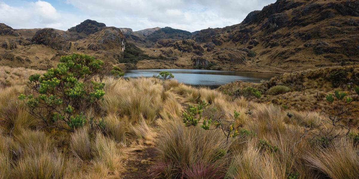 Calendario de feriados de Ecuador 2024