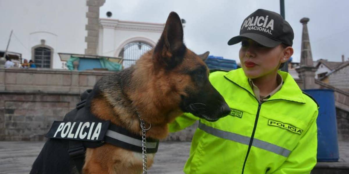 La Policía abre curso gratuito de adiestramiento canino; conozca cómo inscribir a su can