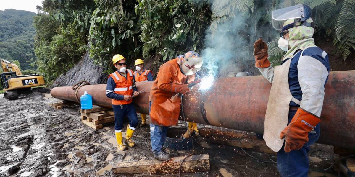 Petroecuador propone construcción de variante definitiva para el principal oleoducto