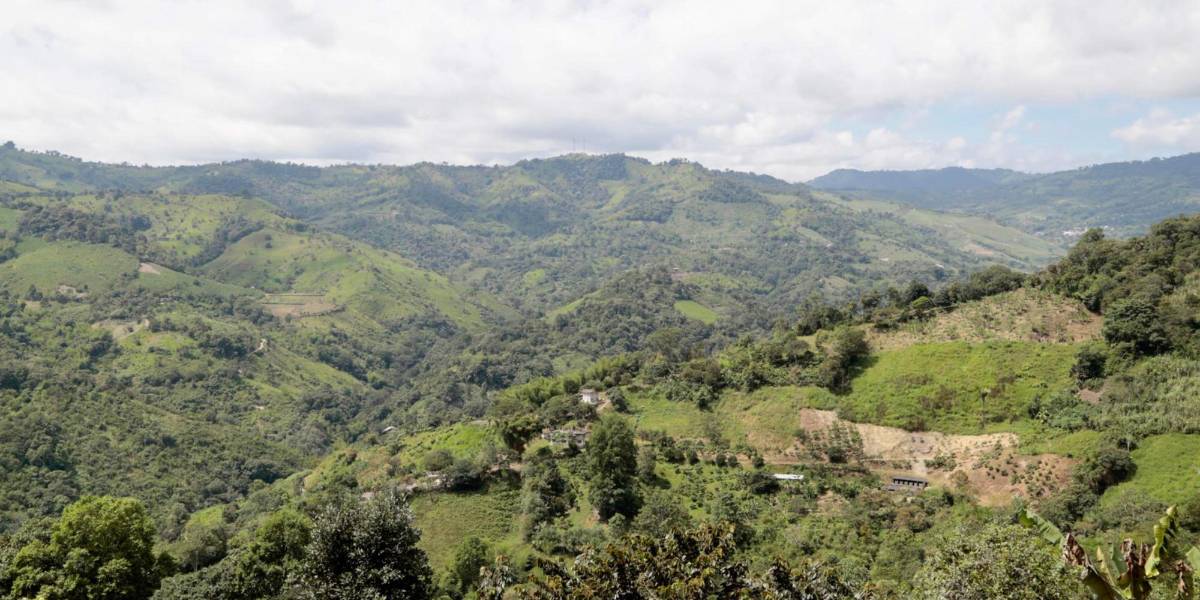 Ciudadanos y activistas exigen que se revisen las concesiones mineras en el Chocó Andino
