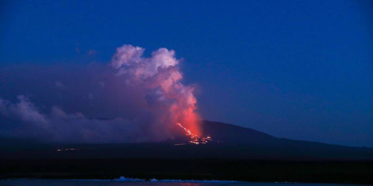 Islas Galápagos: la intensidad de la erupción del volcán La Cumbre desciende