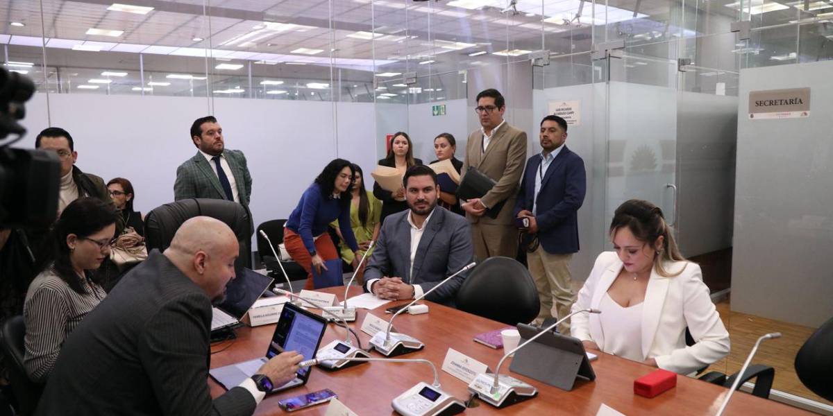 La consejera Johanna Verdezoto dice que su encuentro con Rodrigo Frías fue casual