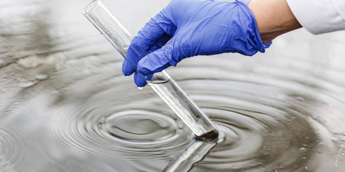 Derrame de petróleo: así funcionan los microorganismos que se comen el crudo del agua