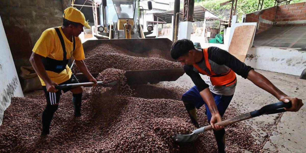 Las exportaciones no petroleras ni mineras de Ecuador crecieron un 10 % el primer semestre de 2025, reporta Fedexpor