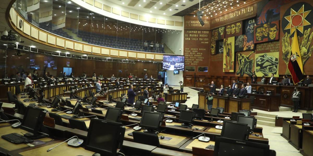 Asamblea Nacional pide al Gobierno que viabilice los pedidos de la Conaie