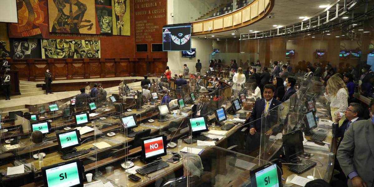 Asamblea Nacional no aprueba texto final íntegro del Proyecto de Ley de aborto en caso de violación