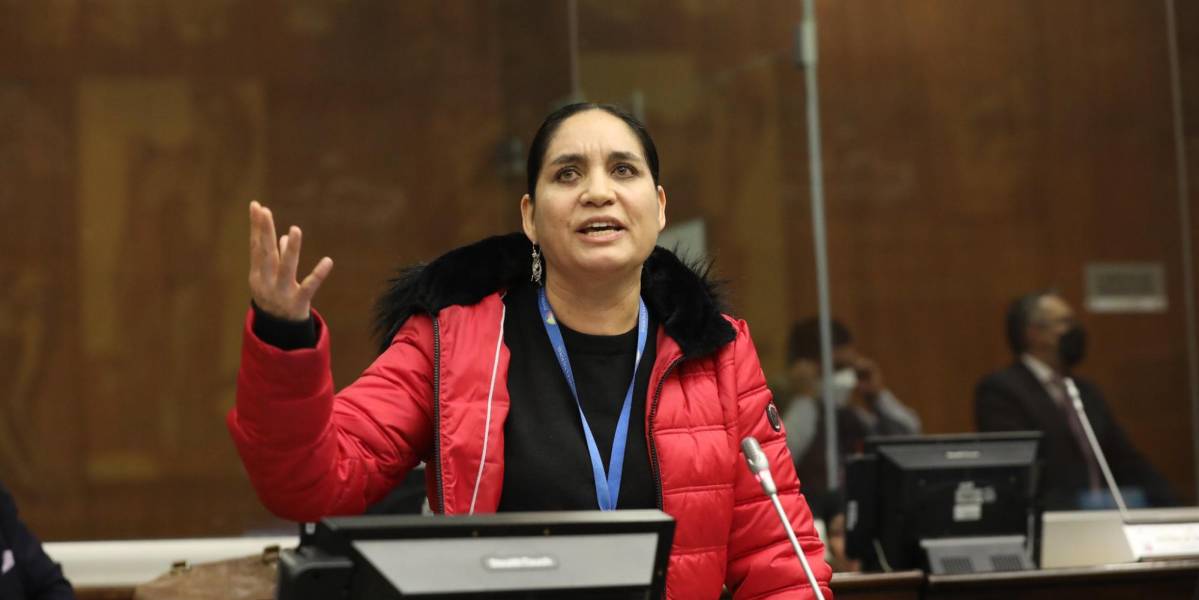 Asambleísta Mireya Pazmiño es separada de Pachakutik