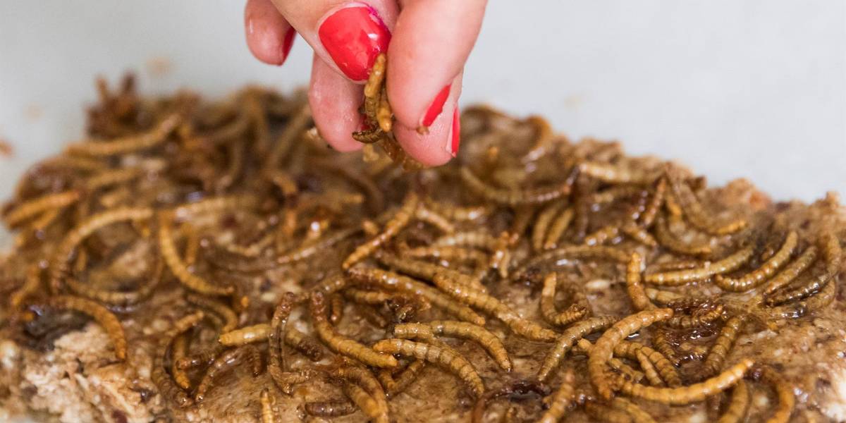 Nuevos alimentos reducen impacto medioambiental en un 80 %