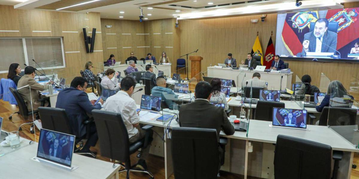 Paro Nacional | El Concejo Metropolitano de Quito pide al Gobierno que tome acciones para evitar hechos de violencia