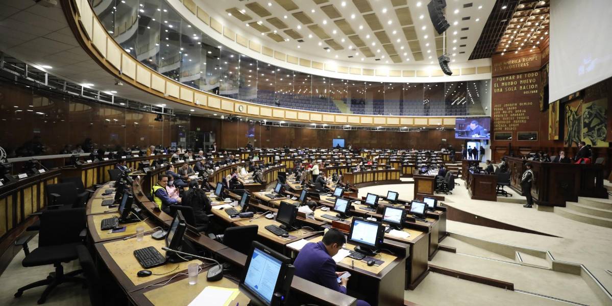 Asamblea debate proyecto de Ley que Regula el Uso de la Fuerza