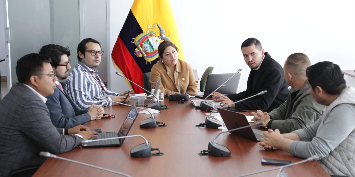 El informe para segundo debate de la Ley de Regulación y Control de Armas fue aprobado en la Comisión de Seguridad