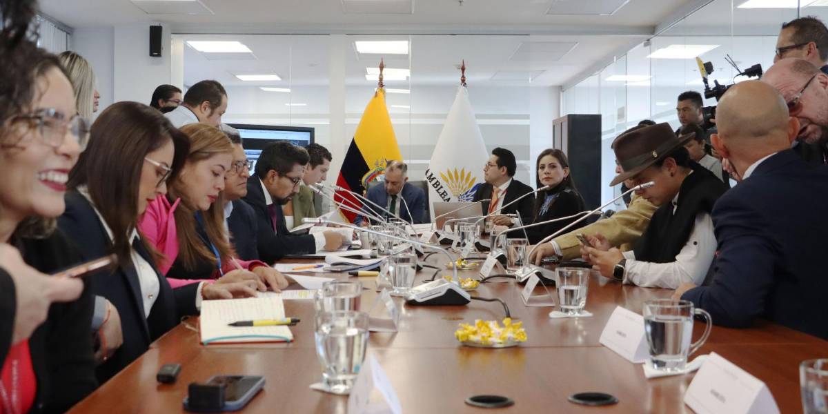 El alcalde de Quito, Pabel Muñoz, no compareció a la Comisión de Biodiversidad de la Asamblea Nacional