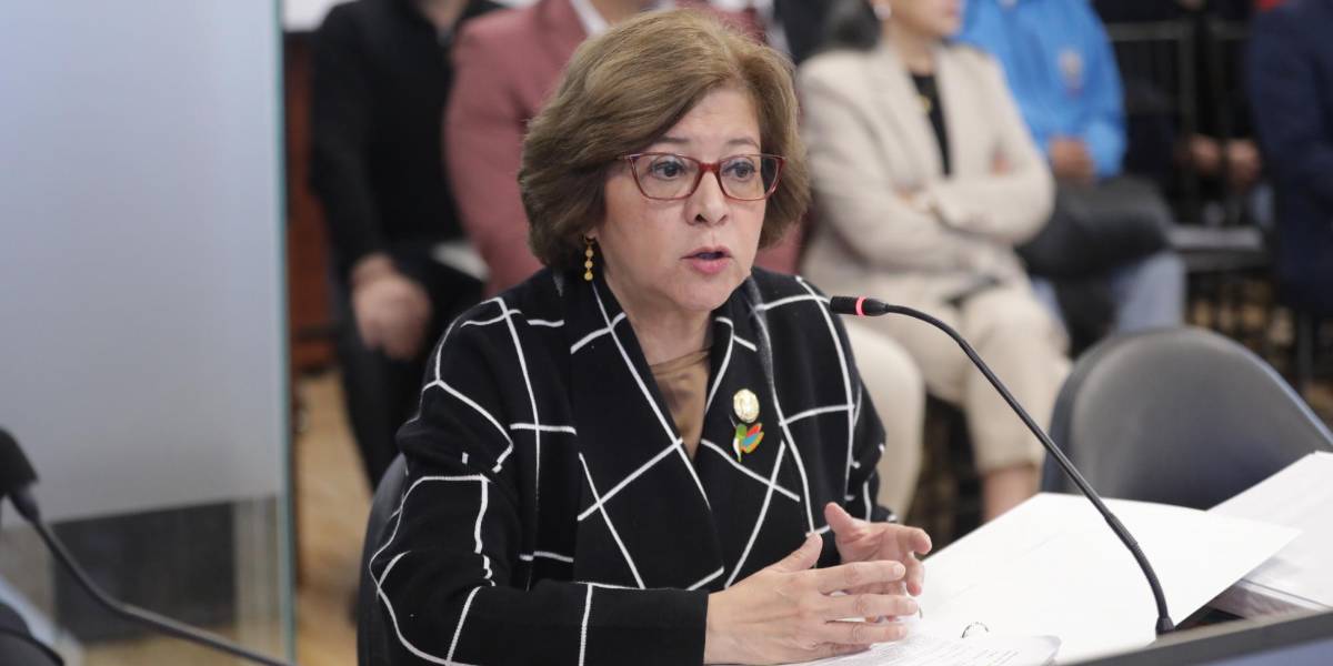 La ministra del Trabajo, Ivonne Núñez, pide que se rechace la acción de protección que se concedió a Verónica Abad