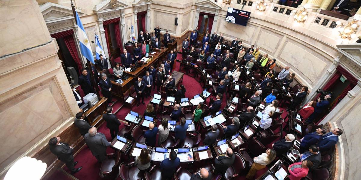 Sesión Ordinaria en el Senado de la Nación, Buenos Aires, Argentina, el 18 de abril del 2024.