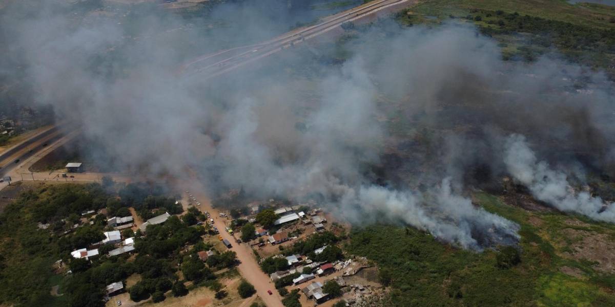 Incendios en Paraguay han afectado a 60 mil hectáreas en lo que va de enero