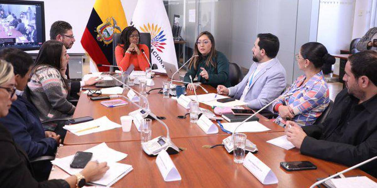 La Asamblea retoma el análisis del Proyecto de Ley de reparación a familiares de víctimas de femicidio