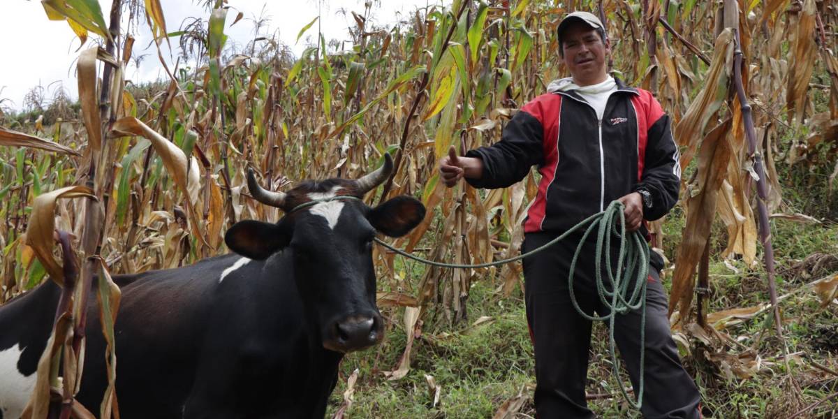 Bono Raíces: conozca el cronograma para cobrar la compensación