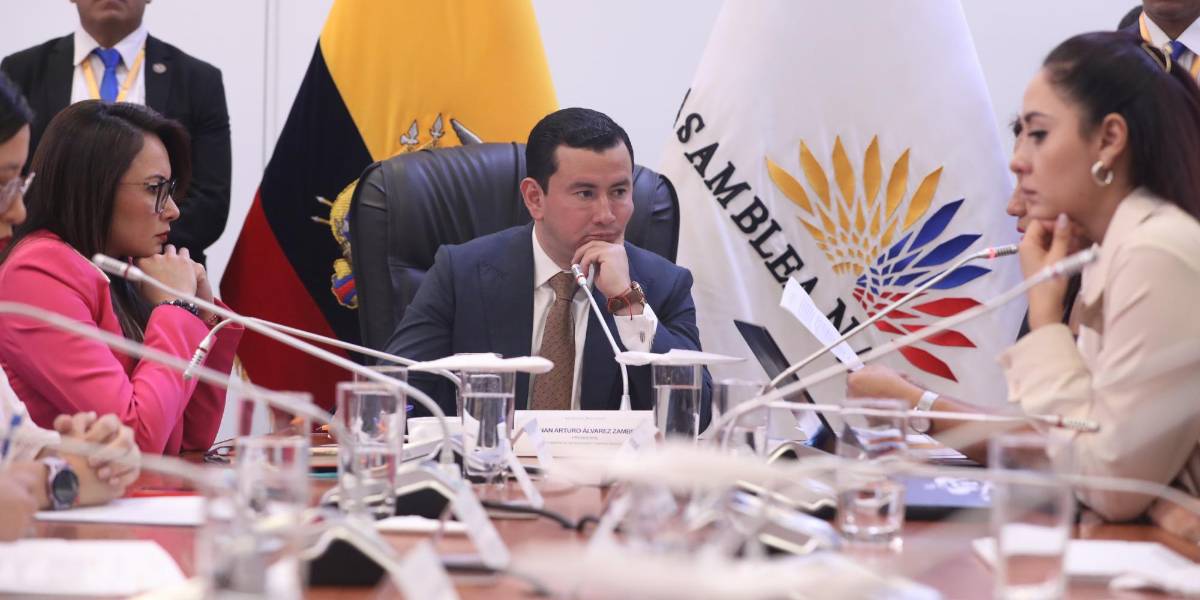 Asamblea: en la Comisión de Fiscalización fue calificada la solicitud de juicio político contra Gonzalo Albán, del Consejo de Participación