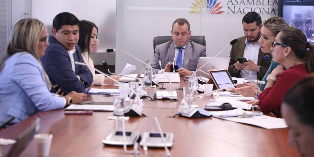 La Comisión que tramita la ley de la consulta popular avanza con la presión del tiempo y con pocos aportes del Ejecutivo