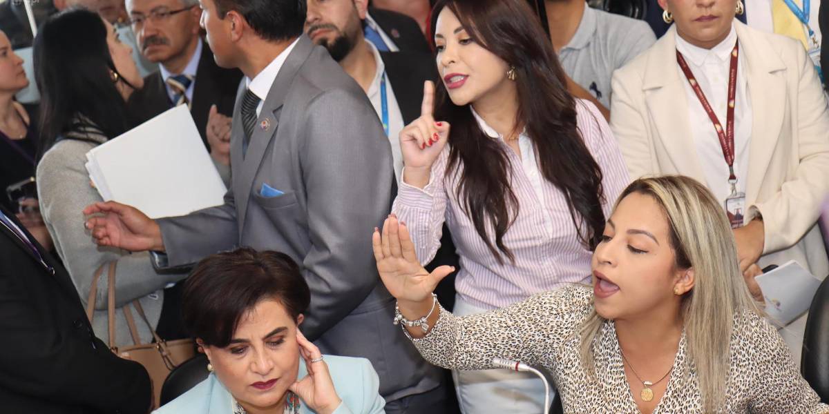 Una foto de la comparecencia de la canciller Sommerfeld en la Asamblea Nacional desencadenó una ola de memes