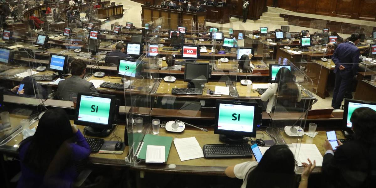 Asamblea Nacional aprueba proyecto de Ley de aborto en caso de violación tras realizarse cambios en el texto