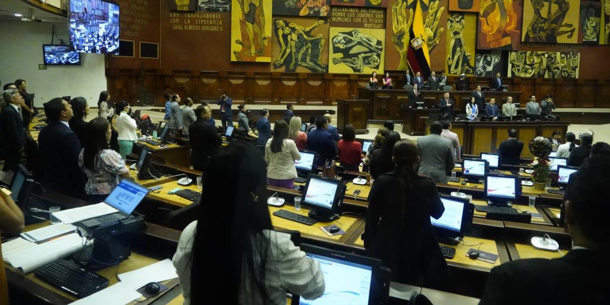 Elecciones Ecuador 2023: el CNE adelanta campaña electoral de los candidatos a asambleístas nacionales